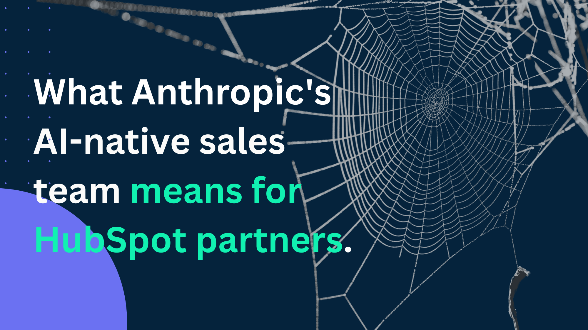 Spider web connoting software links