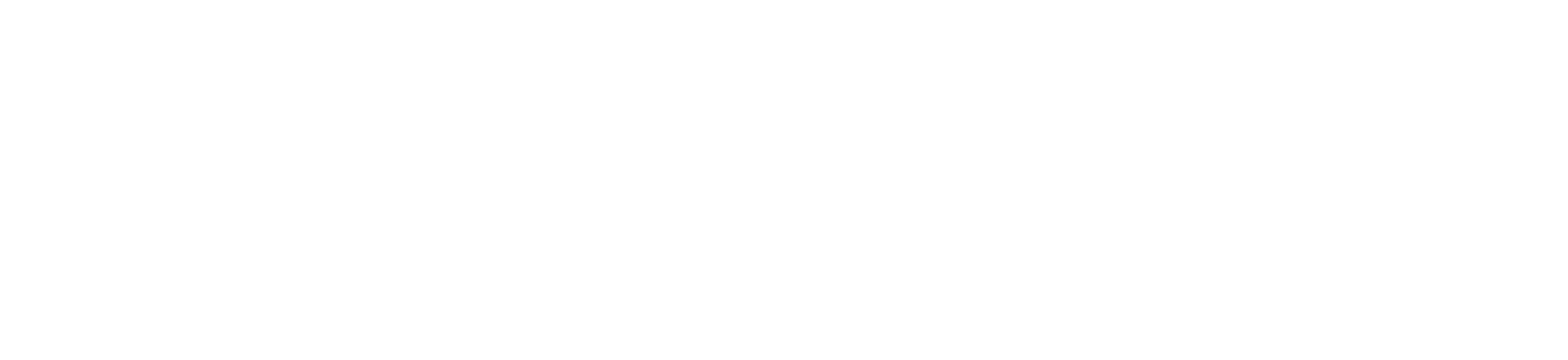 White logo - no background